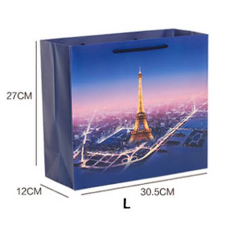 Custom Eiffel Tower garment bag 2